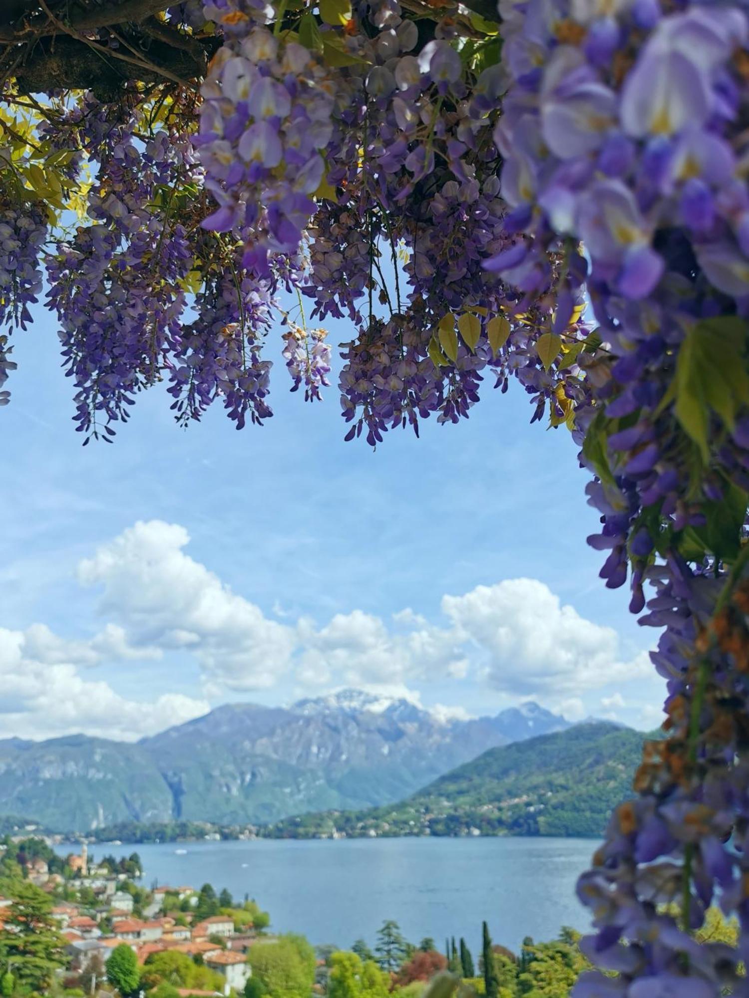 Residence Celeste Mezzegra ภายนอก รูปภาพ